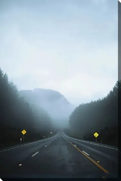 Постер Туман и трасса