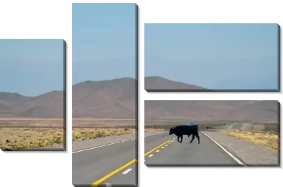 Модульная картина Корова на трассе