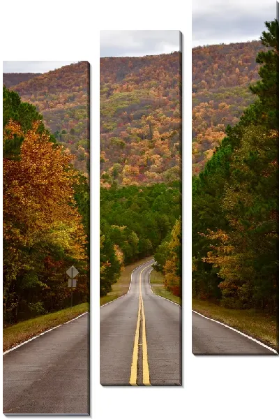 Модульная картина Трасса осенью