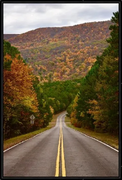 Картина Трасса осенью