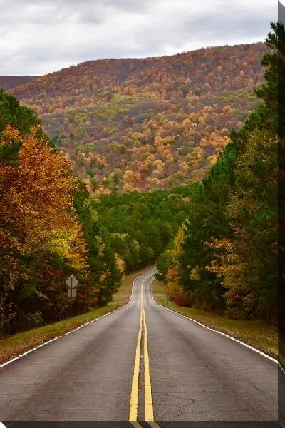 Постер Трасса осенью