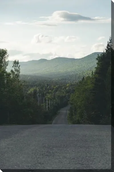 Постер Утренняя трасса