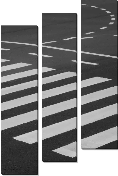 Модульная картина Пешеходная зебра