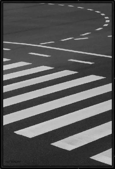 Картина Пешеходная зебра