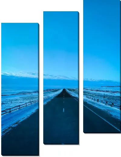 Модульная картина Трасса №42