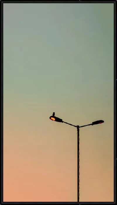 Картина Фонарь с птицей