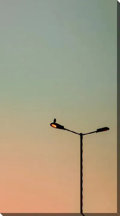 Постер Фонарь с птицей