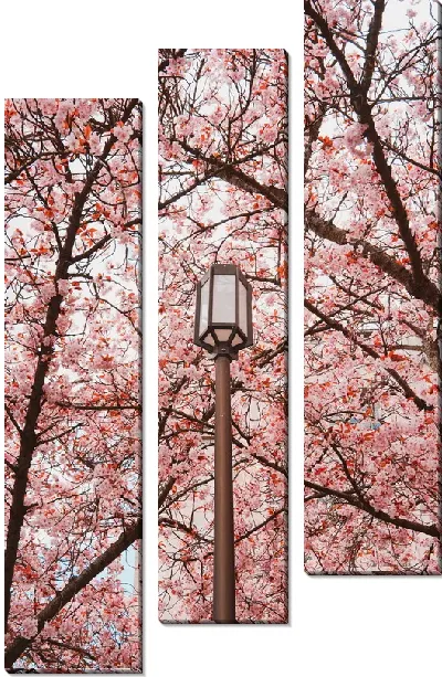 Модульная картина Фонарь и сакура