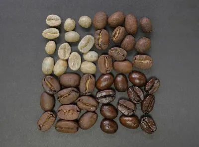 Плакат Разноцветные кофейные зёрна