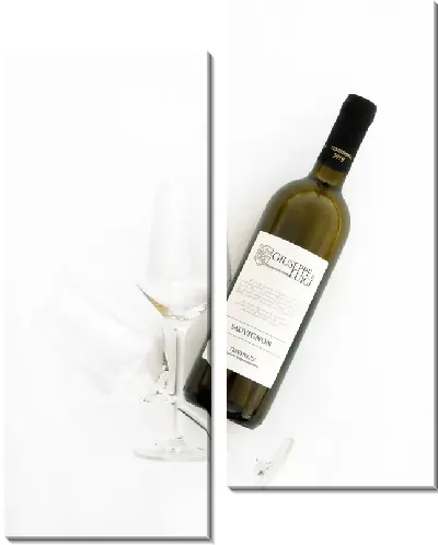 Модульная картина Пустой бокал и бутылка вина