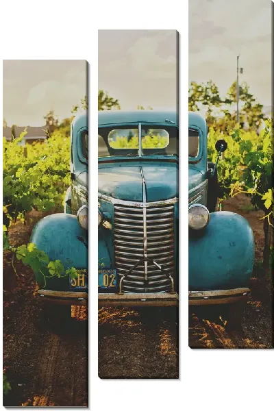 Модульная картина Ретро автомобиль на винограднике