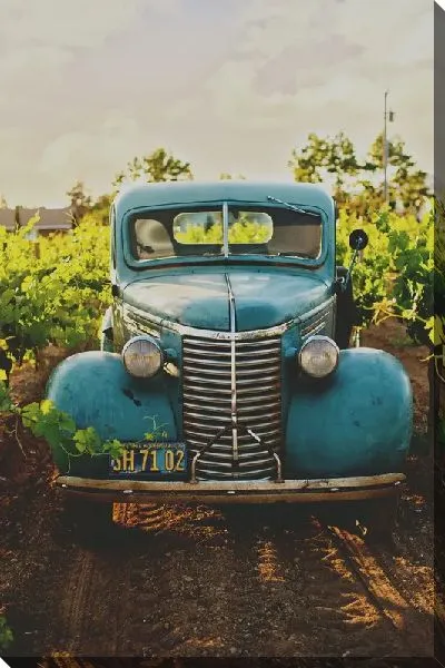 Постер Ретро автомобиль на винограднике
