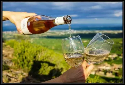 Два бокала с вином на природе