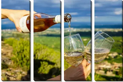 Два бокала с вином на природе