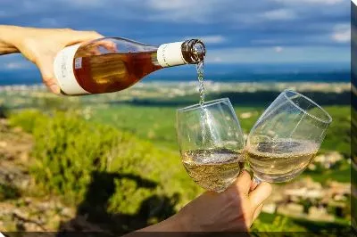 Два бокала с вином на природе