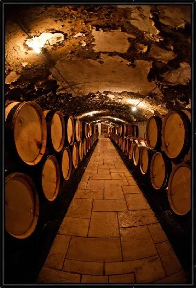 Картина Вино в бочках в погребе