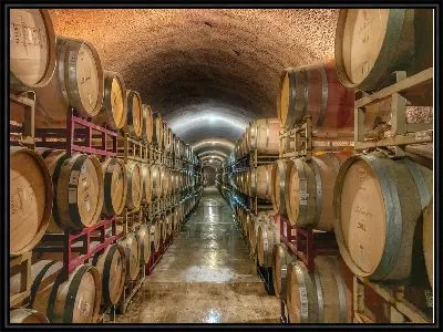 Картина Бочки на винодельне №4