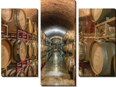 Бочки на винодельне №4