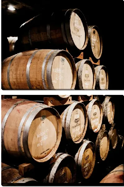 Модульная картина Бочки с вином №7