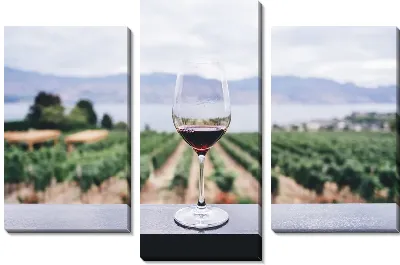 Модульная картина Бокал вина на фоне виноградника