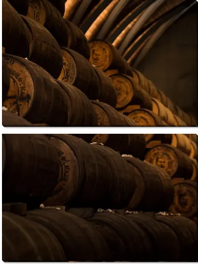 Модульная картина Бочки вина в погребе винодельни