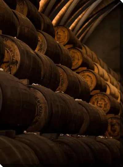 Постер Бочки вина в погребе винодельни