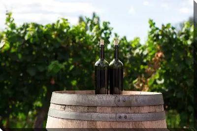 Две бутылочки вина на бочке