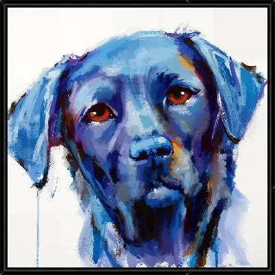 Лабрадор ретривер №1