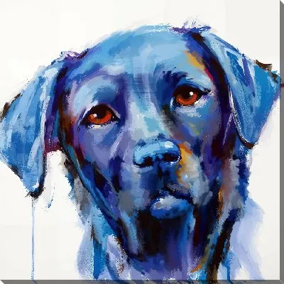 Лабрадор ретривер №1