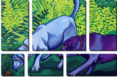 Модульная картина Лабрадоры ретриверы