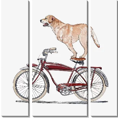 Модульная картина Лабрадор ретривер на велосипеде №16