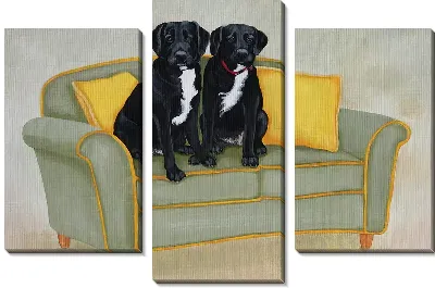 Модульная картина Лабрадоры ретриверы на диване