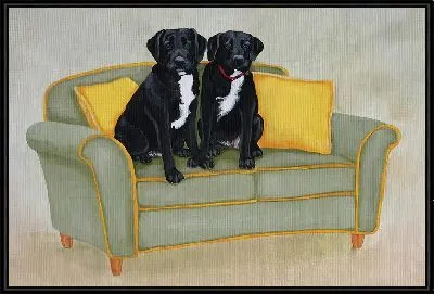 Лабрадоры ретриверы на диване