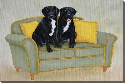 Лабрадоры ретриверы на диване