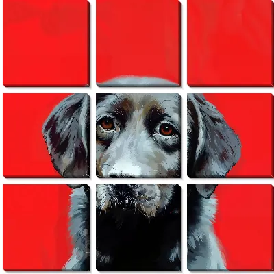 Модульная картина Лабрадор ретривер №19