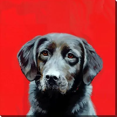 Картина маслом Лабрадор ретривер №19