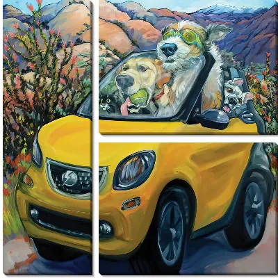 Собаки в машине путешествуют