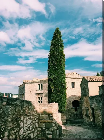 картина