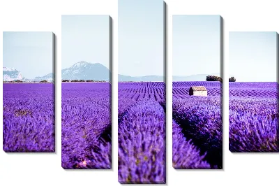 Модульная картина Лавандовые поля в Провансе №7