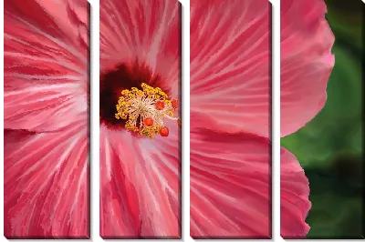 Модульная картина Цветок гибискус