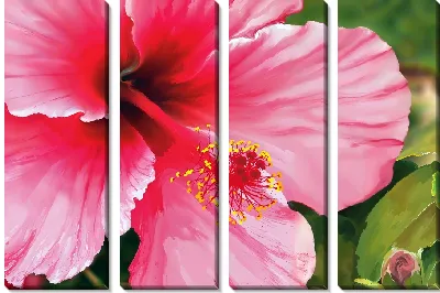 Модульная картина Цветок гибискуса
