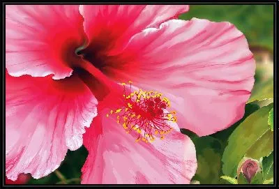 Картина Цветок гибискуса