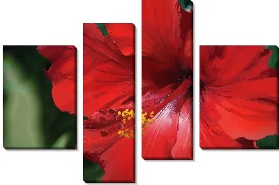 Модульная картина Гибискус №1