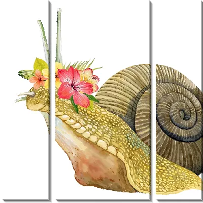 Модульная картина Улитка и гибискусы
