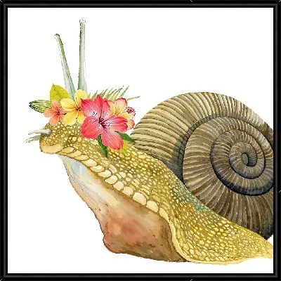 Улитка и гибискусы