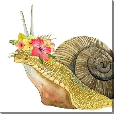 Улитка и гибискусы