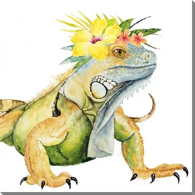 Варан и гибискусы