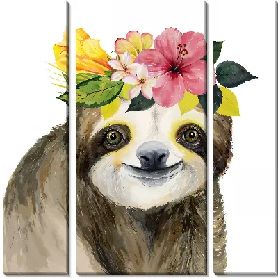 Ленивец и гибискусы