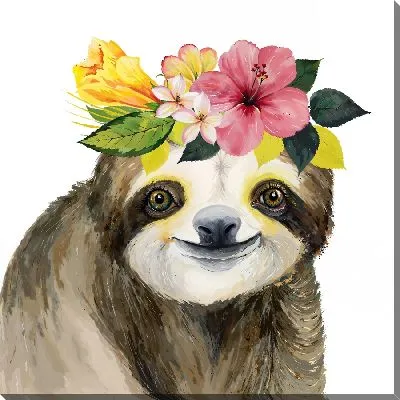 Ленивец и гибискусы