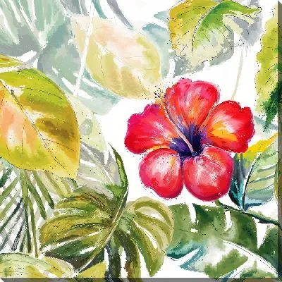 Тропические листья и гибискус